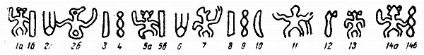 beginning of first tablet read by Metoro