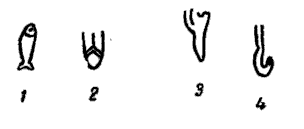 figure 8