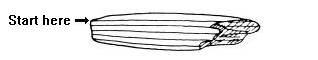 Small Vienna Tablet, side b, 3.4k jpg