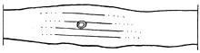 Honolulu Tablet, 2.8k jpg