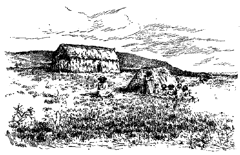 800x517 GIF, 27.7k